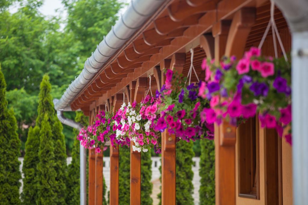 Csalanosi Vendeghaz Hotel Kecskemét Exterior foto
